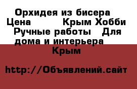 Орхидея из бисера › Цена ­ 800 - Крым Хобби. Ручные работы » Для дома и интерьера   . Крым